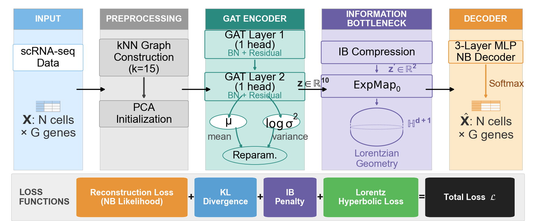 GAHIB architecture: graph-attention encoder, information bottleneck, hyperbolic loss